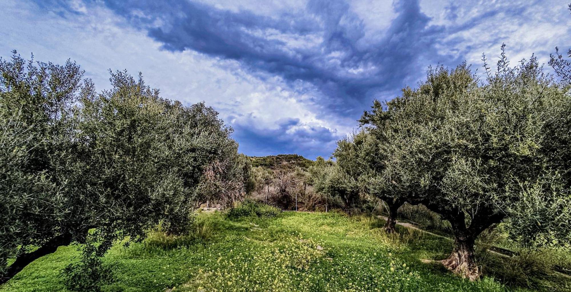 Your Spot West Peloponnese Shared Countryhouse Zacharo Esterno foto