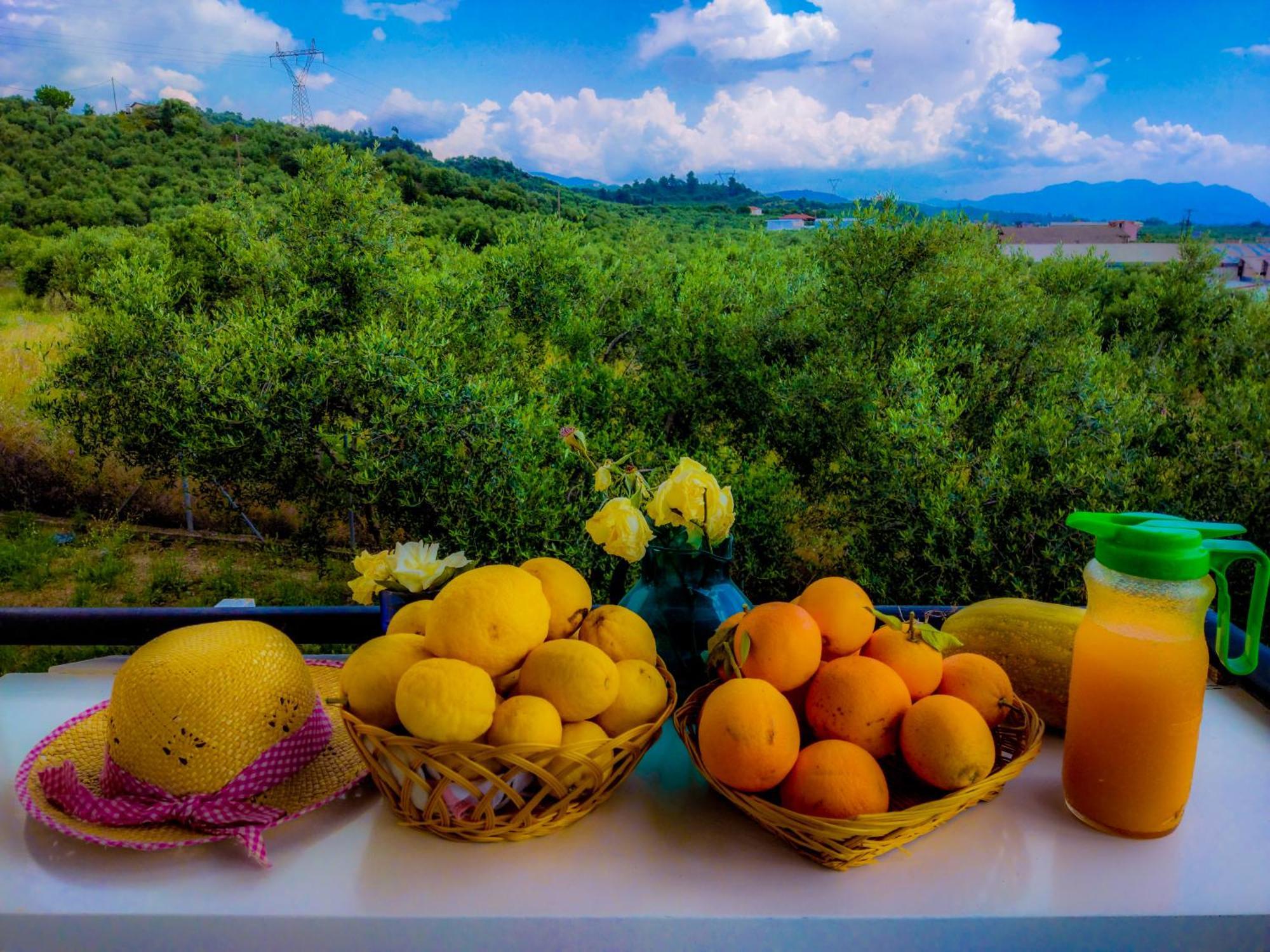 Your Spot West Peloponnese Shared Countryhouse Zacharo Esterno foto