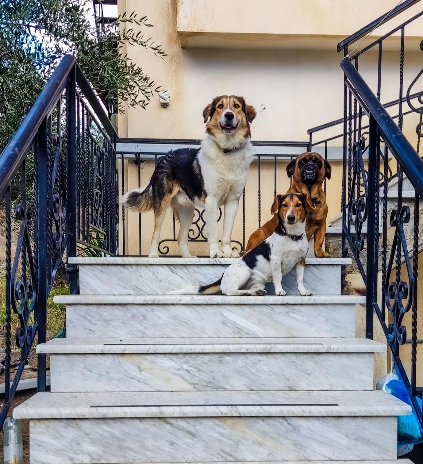 Your Spot West Peloponnese Shared Countryhouse Zacharo Esterno foto